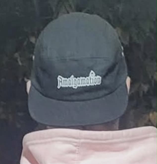 Amalgamation 5 Panel Cap